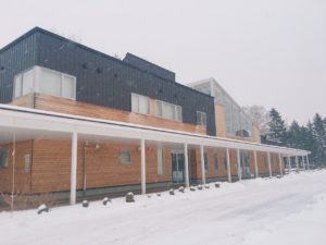 ドンベアが咲き始めました