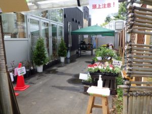 植物売店を屋外売店スペースで営業を開始しました