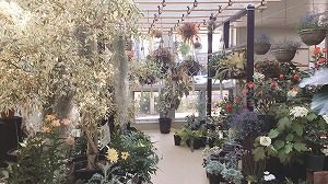 緑のセンターは本日より開館いたしました