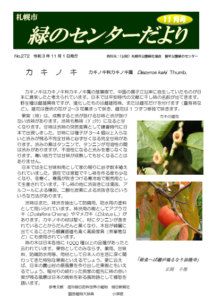 センターだより11月号