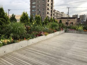 ルーフガーデン①