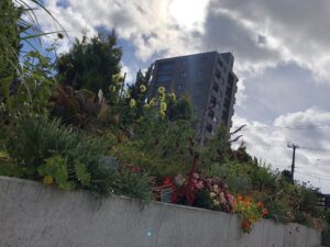 ルーフガーデン