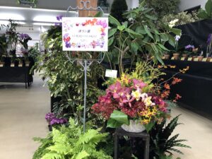 洋ラン展①