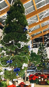 クリスマス展Gクレストツリー