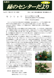 緑のセンターだより1月号