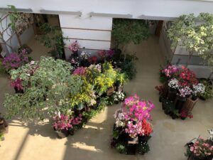 2階ホールから見た1階アトリウム