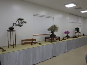 春の風流盆栽展遠景
