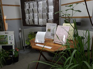 レシピコーナー