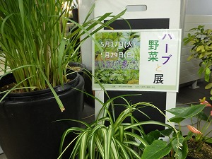 ハーブと野菜展