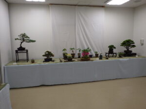 バラエティ盆栽展