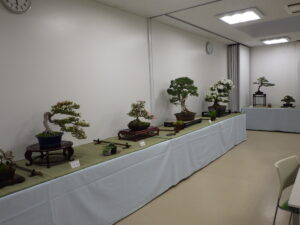 バラエティ盆栽展 