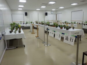 山野草展　展示会場