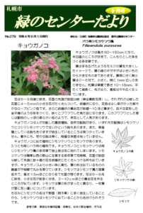 緑のセンターだより6月号
