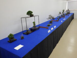 春のミニ盆栽と山野草展　席飾り