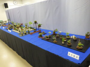 春のミニ盆栽と山野草展　平飾り