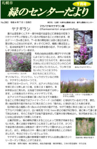 センターだより7月号