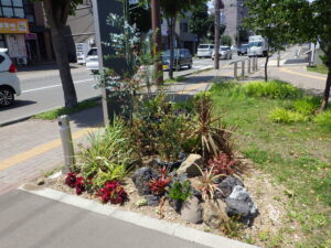 車寄せ入口ロックガーデン