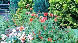 ガイラルディア