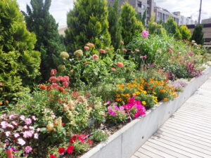 ルーフガーデン