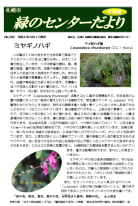 緑のセンターだより9月号