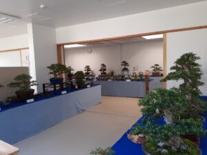 R4さつき秋季展