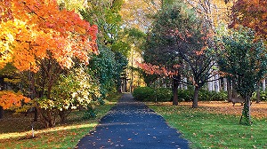 地下鉄1番出口横園路の紅葉