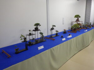 秋のミニ盆栽と山野草展の席飾り