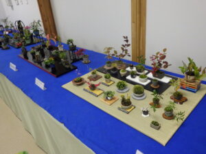 秋のミニ盆栽と山野草展の平飾り