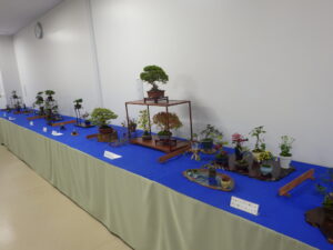 秋のミニ盆栽と山野草展