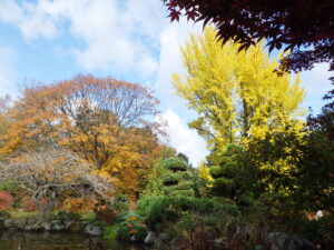 園内の紅葉情報（10月30日）