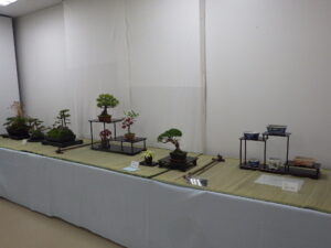 盆栽展_その他の席もあり