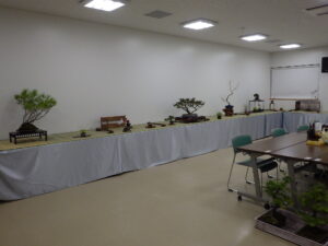 「秋の風流盆栽展」開催＆園内の紅葉