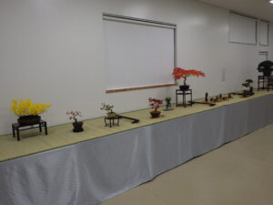 秋の風流盆栽展