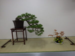 秋の風流盆栽展