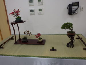 秋の風流盆栽展