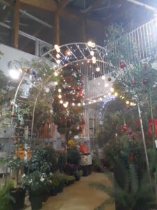 アーチとツリーのライトアップ