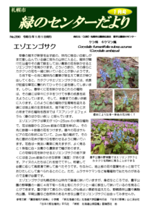 センターだより1月号表紙