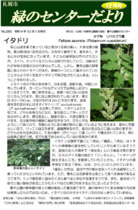 緑のセンターだより12月号