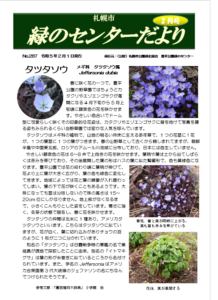 緑のセンターだより2月号