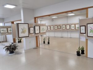 ボタニカルアート展始まります！