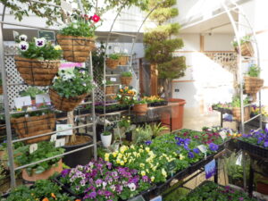 展示会場のようす