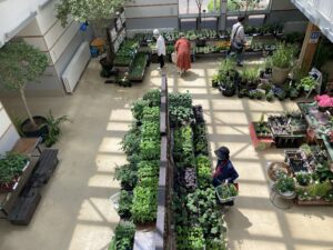 ハーブと野菜展