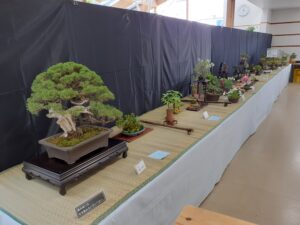 R5バラエティ盆栽展