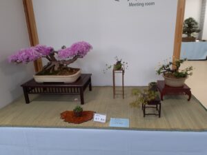 R5バラエティ盆栽展