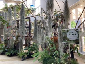 エアープラツ展会場の様子