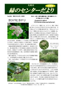 緑のセンターだより8月号