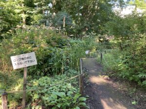 野草園の奥へ