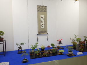 秋のミニ盆栽と山野草展