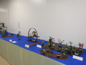 秋のミニ盆栽と山野草展