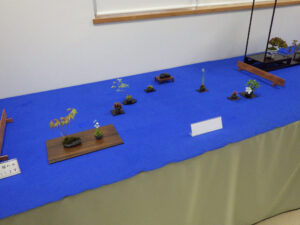 春のミニ盆栽と山野草展 